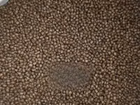 Cat Fish Feed Per Kg — photo 3