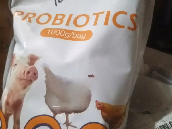 Probiotics For Pigs