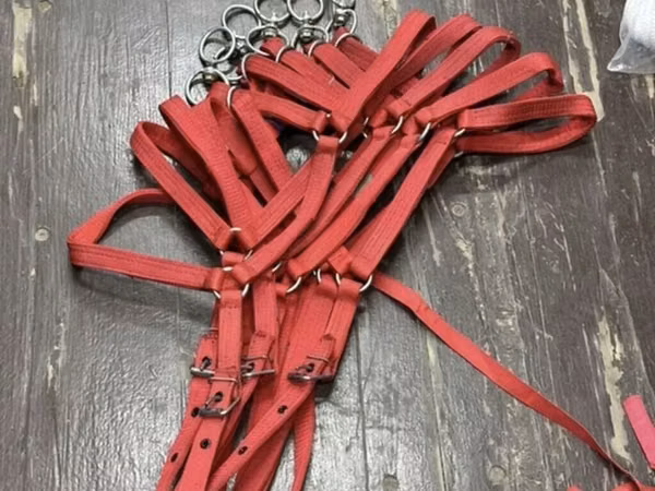 Красная упряжь/шлейка из прочной стропы для упряжных лощадей