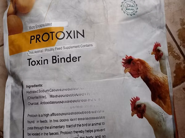 Toxin Binder