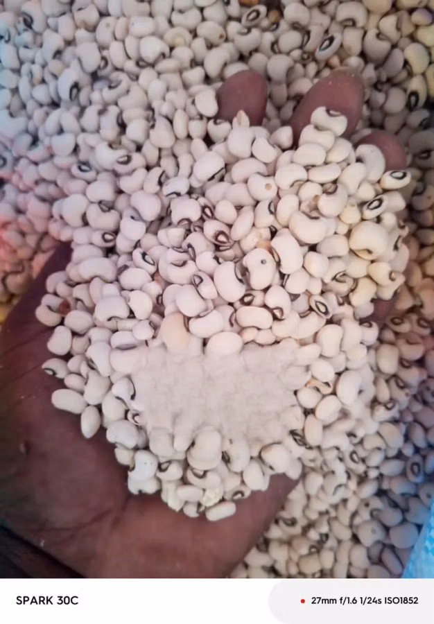 Ghanaian Local Beans