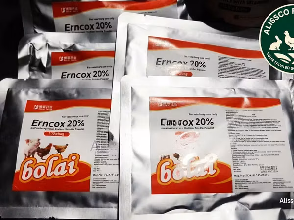ERNCOX 20% 100g